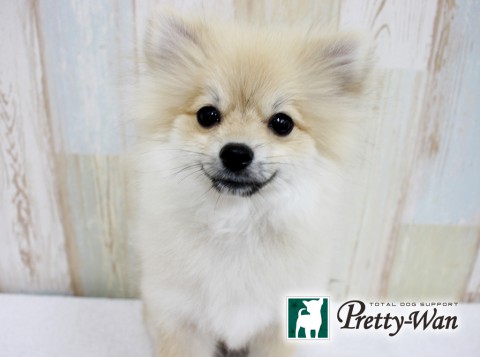 タカハシチョコ160504