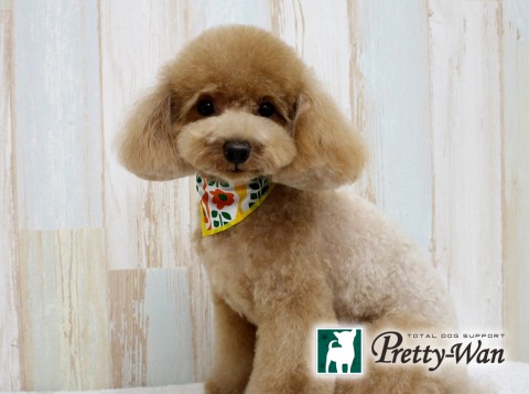 タカギモコ20160619