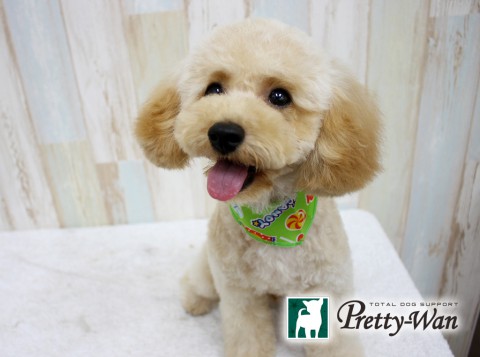 タカギモコ20160619