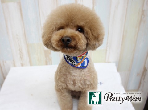 キタココア160416