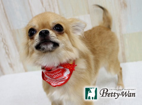 タカギモモ160516