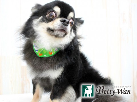 ワタナベホクト160409