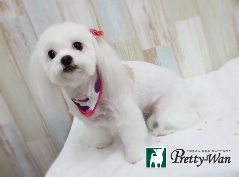 ミズノクー160416