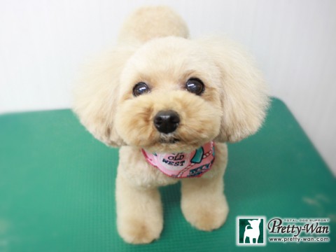 カナモリルナ151130