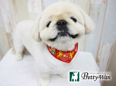 ヒシカワゴエモン160409