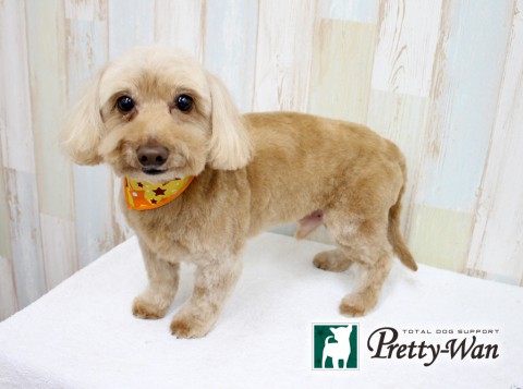 ヨゴマロン160213