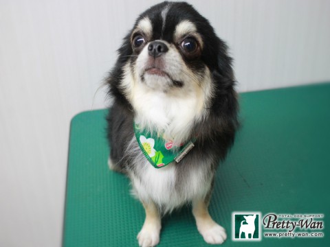 ミウララスク151208