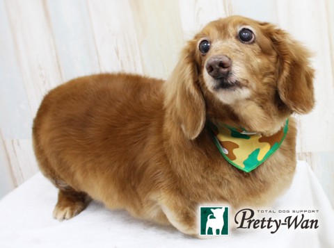 ミズノログ160410