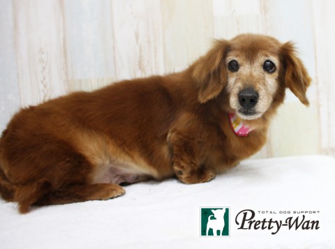 イシハラレミ160413