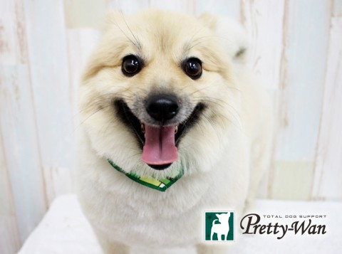 タカギラッキー160618