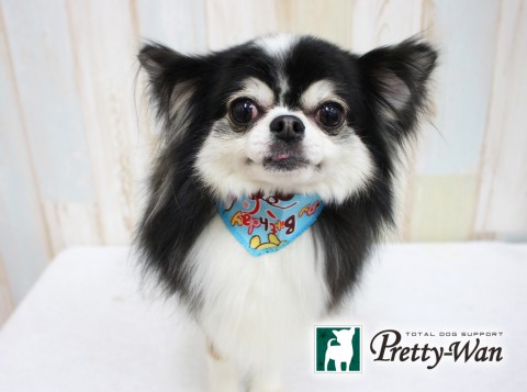 イケダマル160420