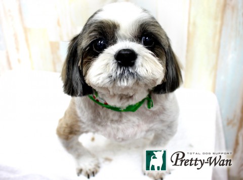 ニシムラマロン160426