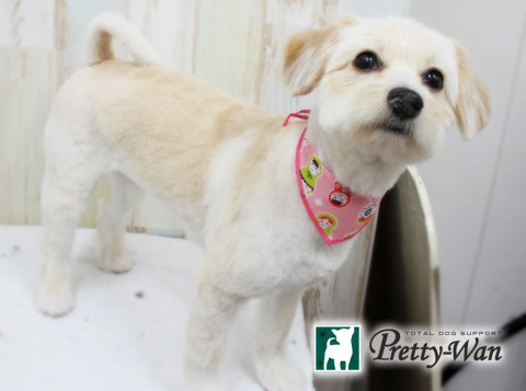 フカダベル160406