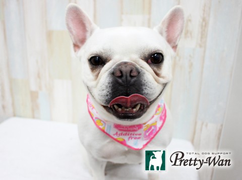 デヅカヴィヴィアン160531