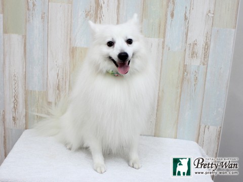 アオノハク160210