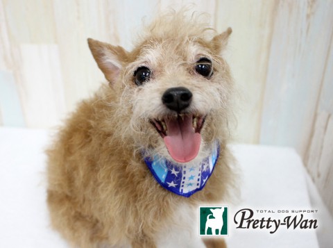 ツルミモト160611