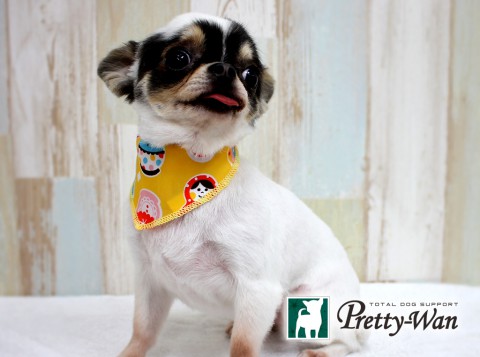 フクタリップ160425