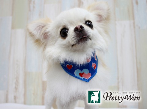 ウスネプー160628