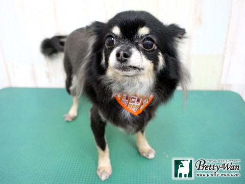 イケダチマキ160124