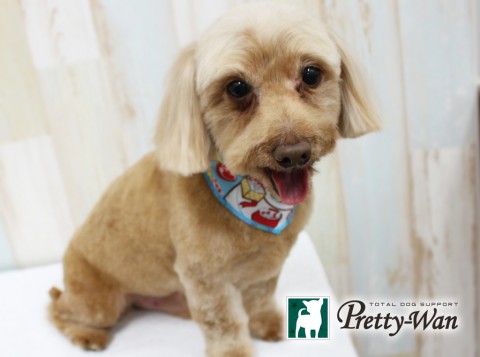 ヨゴマロン160402