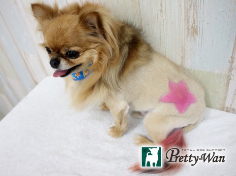 イケダジュニア1606705