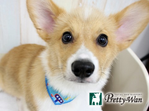 ナカシマロク160523