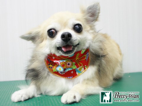 イケダギン151230