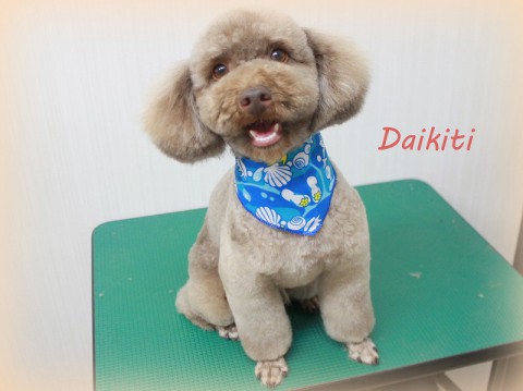 サワダイキチ150530