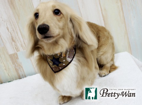 キタザワショウグン160504