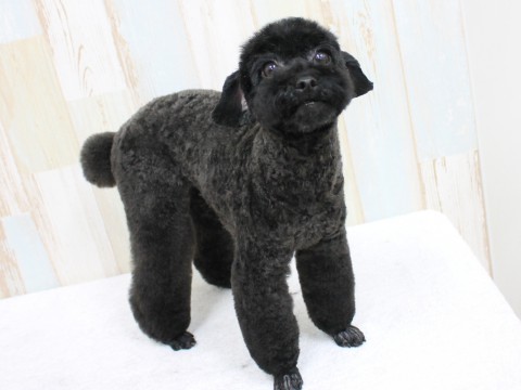 ミズタニココ160527