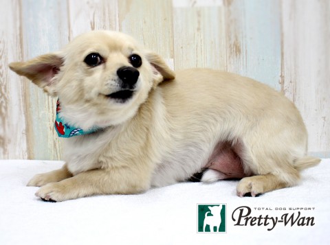 フクタポルト160425