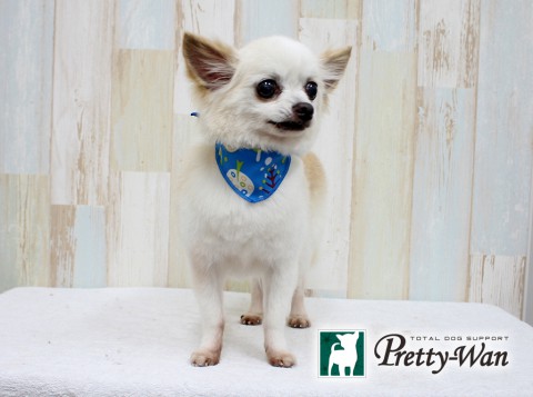 ノムラマリー160220