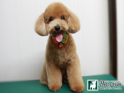 タカギモコ151213