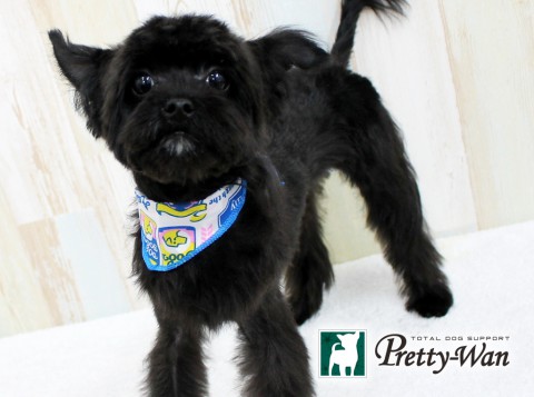 エグチフウガ160521