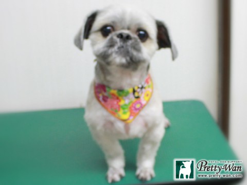 ミワユソナ151229