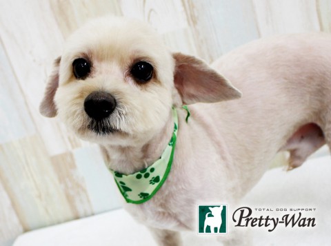 ムラカミビター160521