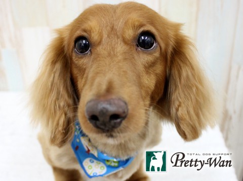 イトウラテ160612