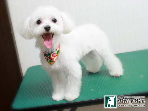 モリミゾレ151229