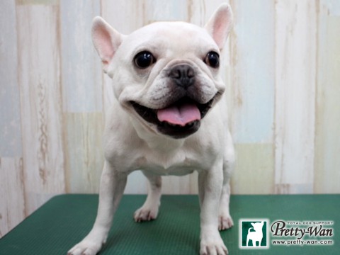 ヨネダレイア160131