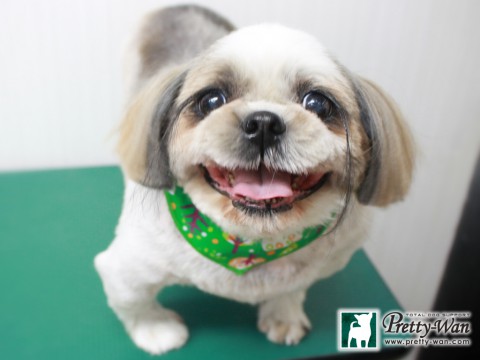 ニシムラトッポ151130