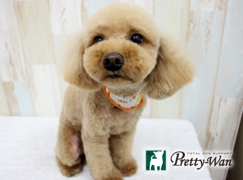 トモノウチャタロウ160614