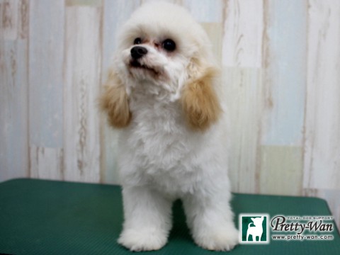 ヒエイルン160125