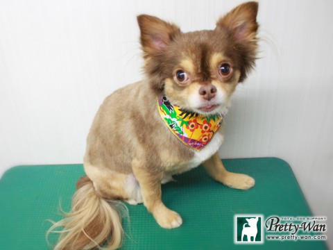 タカハシチロル151228