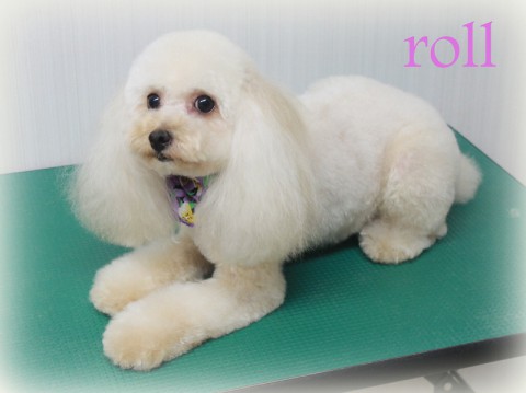 コモダロール150609