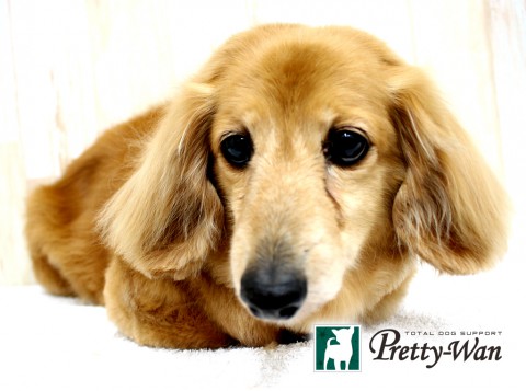 タバタアイ160501