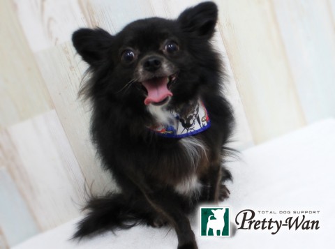 ウメムラクースケ160409