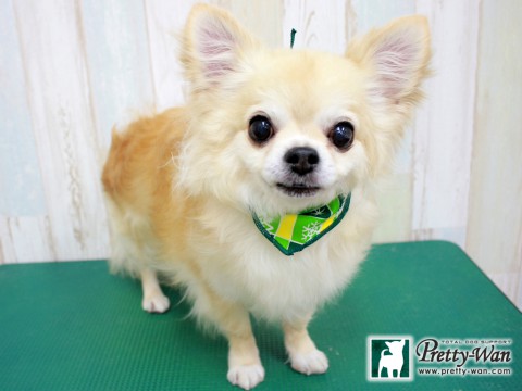 モチズキレイ160123