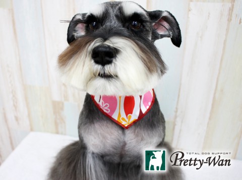 ニシオガイ160524