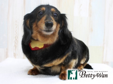 イシハラジュジュ160413