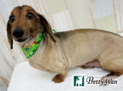 ツルタマーボー160612